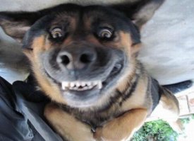 Женщине удалили 20 зубов, чтобы избавить её от чудовищно кривых зубов