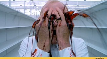 Вестник социальных сетей