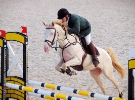 Нет, цвет довольно честный, для ахалтекинцев эта масть - от белой и даже розоватой (шерсть очень тонкая и просто розовая кожа просвечивает) до кремовой, желтовато-песочной и т. д. с металлическим блеском на солнце - довольно обычная. В русском эта группа раскрасок называется изабелловой мастью, примерно то же самое, что в этой же подборке названо кремелло.
А артефакты на фотке вызваны просто тем, что удаляли дефект НА ФОНЕ.
ЗЫ
Вот, у нас в Латвии есть такой конёк (он ещё молоденький, не сформировался)