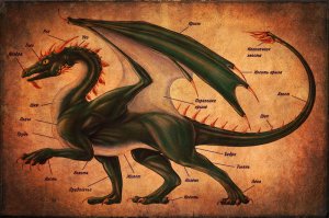 Картинка в разрезе, конечно, супер, но где же гольё, вымя!?