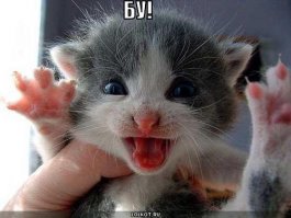 16 страшных фильмов ужасов, которые вы можете посмотреть менее чем за 20 минут