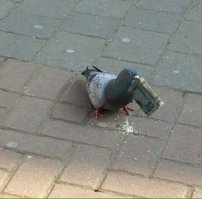 Боги фотошопа всегда популярны у противоположного пола