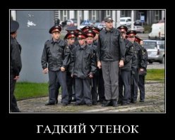 Американец вырастил и превратил в Инстаграм-знаменитость спасённого им дикого гусёнка