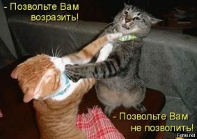 И как тут разобрать, для кого налито молоко, если миска одна?