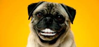 Женщине удалили 20 зубов, чтобы избавить её от чудовищно кривых зубов