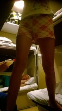 23 попутчика, которые разнообразят любую поездку