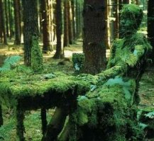 Живи незаметно