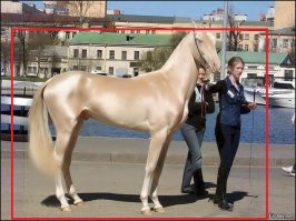 вот только заметил,а почему на фото №6,выделяется желтый свет.буд то приложили стекло желтого цвета или фотошоп.может по этому коняга такой золотой.или я не так посмотрел.но судя по тротуару,четко видно-серый с двух сторон и бац,по середине желтым отдает.