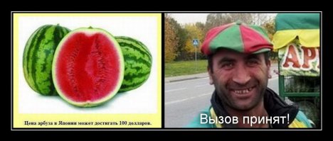 Интересные факты в картинках