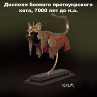 Шипы против котиков: полный провал