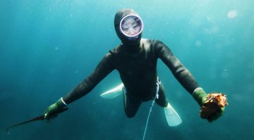 Коллеги по цеху.
Ама - японские ныряльщицы за моллюсками.