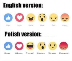 Приколы из Польши