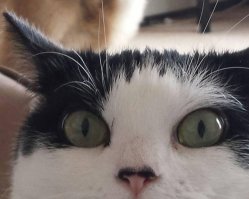 Фотоподборка за 14.10.2016