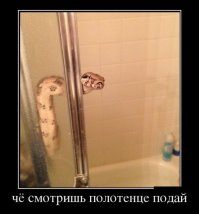 Тёща приехала