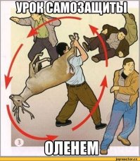 Олень подкрался незаметно