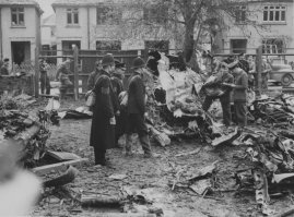 после укуса такой осы он будет выглядеть так: