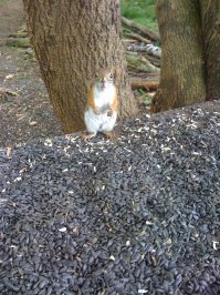 вот оно-счастье... или шок