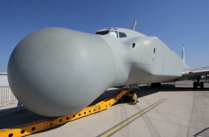 оса укусила