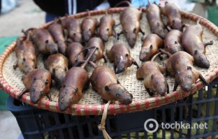 А кто в теме, почему большинство крыс выглядят, как раздутые изнутри, ощущение, что лопнут если проткнуть? Ведь после жарки или копчения мясо наоборот усыхает...