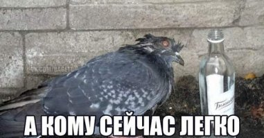 Пятница! Завтра утро будет таким