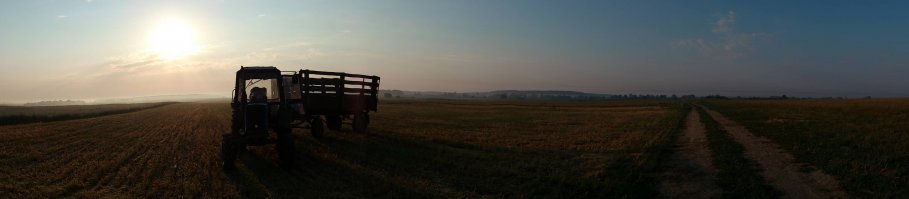 6 утра. лето, прошлый год