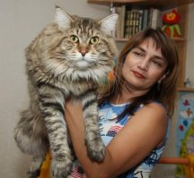 Шипы? Занозы!?

Шипы сами не ранят, это ты ранишься о шипы…