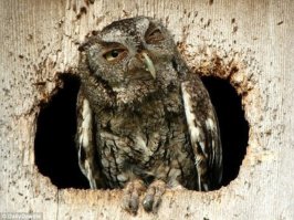 Мое утро сегодня, когда сосед в 8.00 решил что-то прибить к полу...