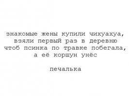 Смешные комментарии из социальных сетей