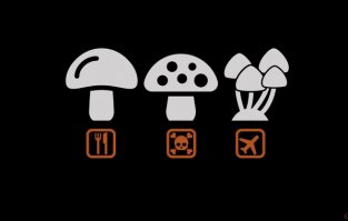 Я третий вид предпочитаю =)