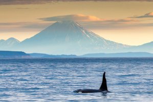 невероятной расоты природа! 8 лет прожил - всем у кого есть возможность - обязательно съездить, не пожалеете!

п.с. автор!!!! где океан?!