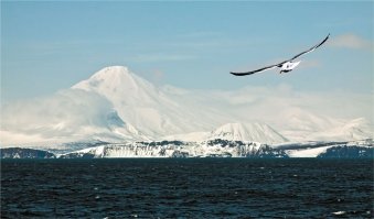 невероятной расоты природа! 8 лет прожил - всем у кого есть возможность - обязательно съездить, не пожалеете!

п.с. автор!!!! где океан?!