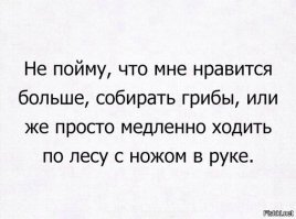 Прогулка по лесу с ножом, фотоаппаратом и ведром