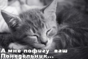 Понедельник день тяжёлый