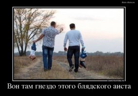 Самые красноречивые фото