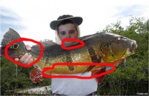 Тут даже я, криворукий фотожопный дилетант, нашёл моментально несколько говно ошибок