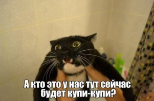Самые красноречивые фото