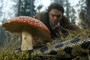 автор, без обид) просто напомнило))