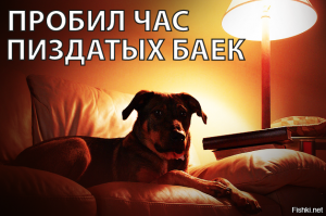 Шоб я еще раз у ментов что-нибудь купила!