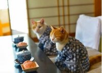 Прикольные фото из Азии (часть первая)