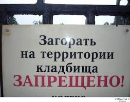 Датские национальные секреты: почему датчане живут без штор и заборов