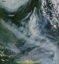 Да - надо спасать. Хотя уже поздно спасать. Экология уже пошла вразнос. Леса горят второй год, самое страшное было в прошлом году - Байкал был затянут дымом сильно, ужас. Понимаете - запах дыма не чувствовался потому что дым висел высоко, но солнца не было видно.

Это фото из космоса.