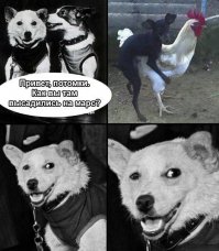 Первая российско-европейская межпланетная станция "ЭкзоМарс-2016" достигла красной планеты