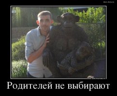 Самые красноречивые фото