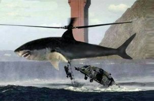 Подборка прикольных картинок 