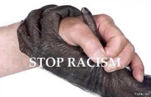 Самые красноречивые фото