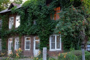 Просто дворики и переулки Нижнего.