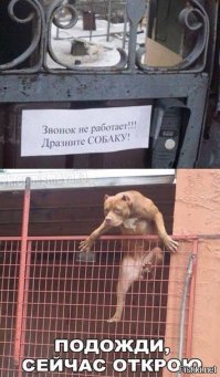 Что скрывают за собой таблички «Осторожно! Злая собака!»