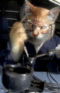 Война между инженерами 
Миром правят инженеры