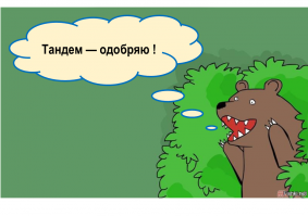 Этой паре помогает улучшить взаимоотношения тандем-серфинг 