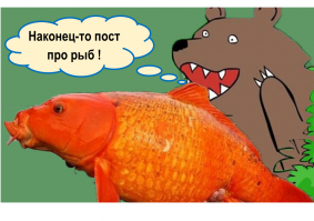 Самые большие пойманные рыбы